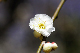 image0141