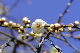 image0142