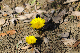 image0143