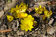 image0144