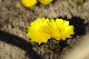 image0145