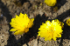 image0146