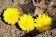 image0147