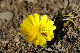 image0148