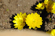 image0149