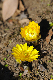 image0150