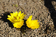 image0151