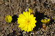 image0152