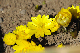 image0154