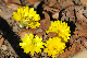 image0155
