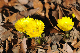 image0156