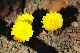 image0157