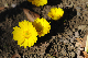image0158
