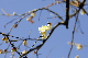 image0161