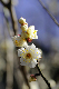 image0162