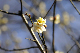 image0163