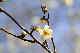 image0164