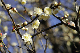 image0166