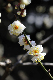 image0167