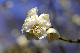 image0168