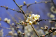 image0173
