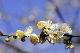 image0174