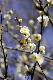 image0175