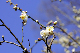 image0176