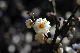 image0177
