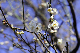 image0178