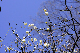 image0181