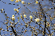 image0182