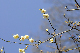 image0183