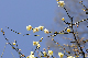 image0184