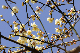 image0185