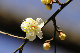 image0186