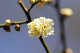 image0187