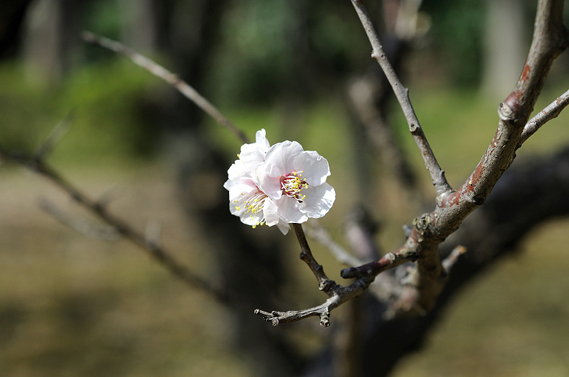 image0133