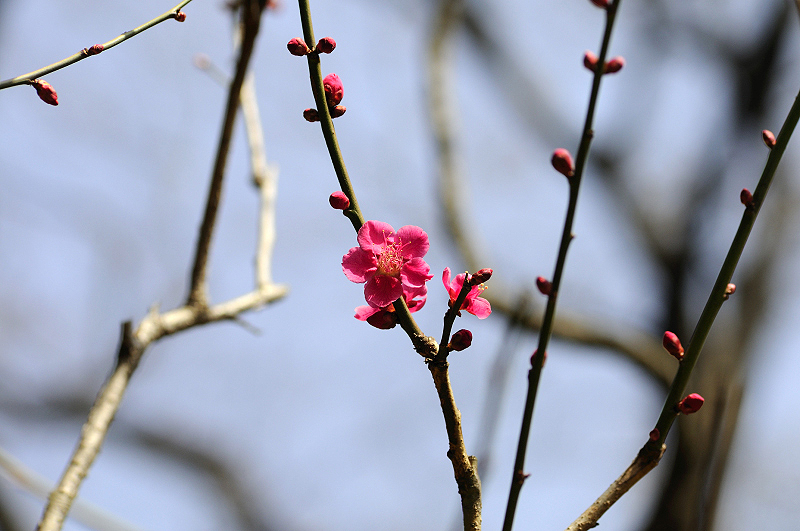 image0150