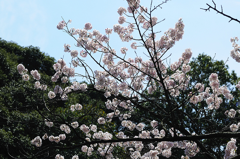 image0097