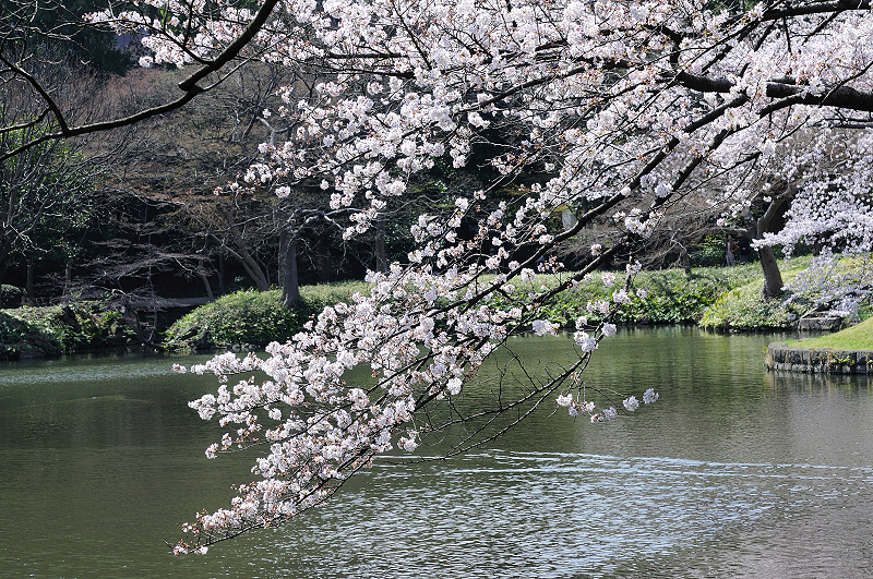 image0098