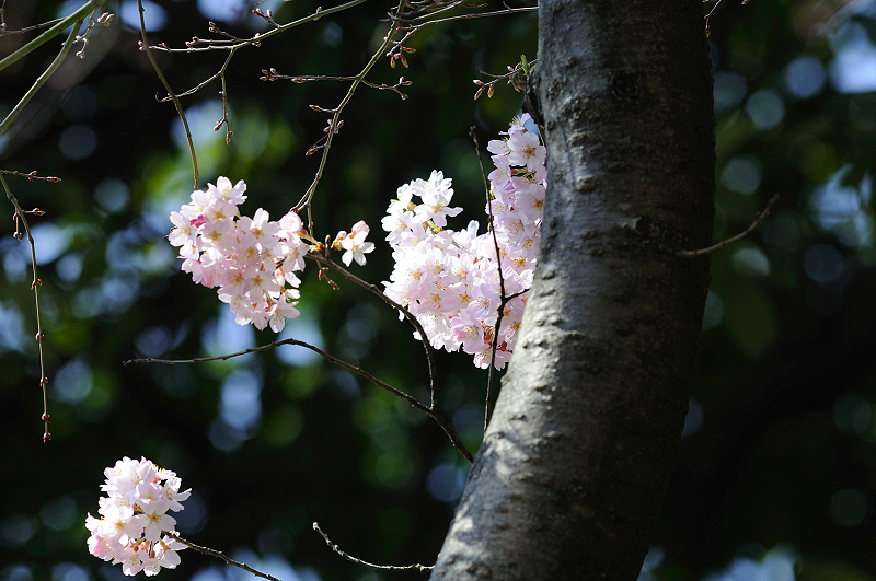 image0104