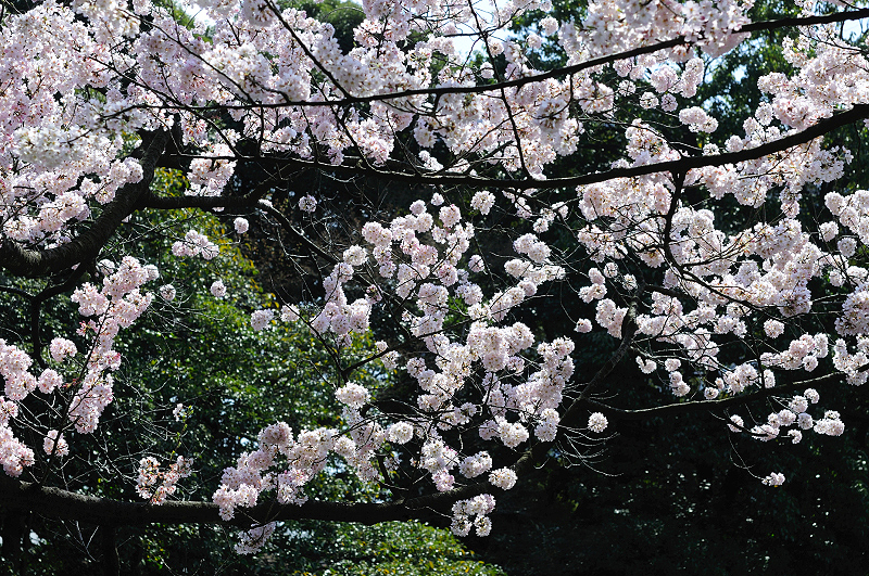 image0107