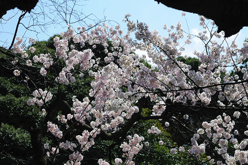 image0108