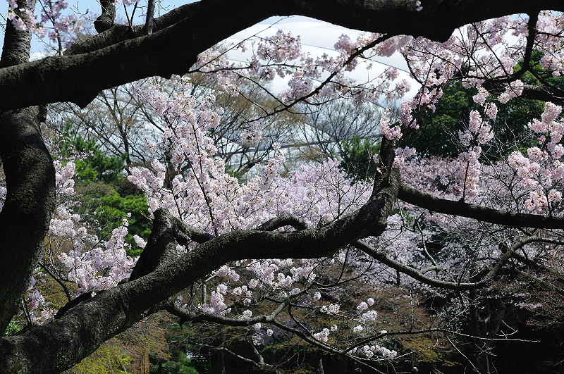 image0110
