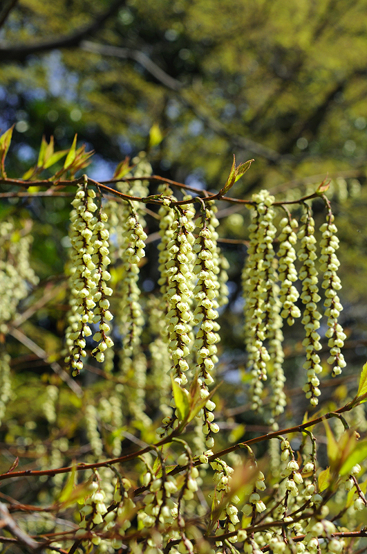 image0122