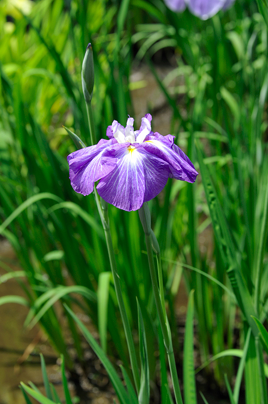 image0102