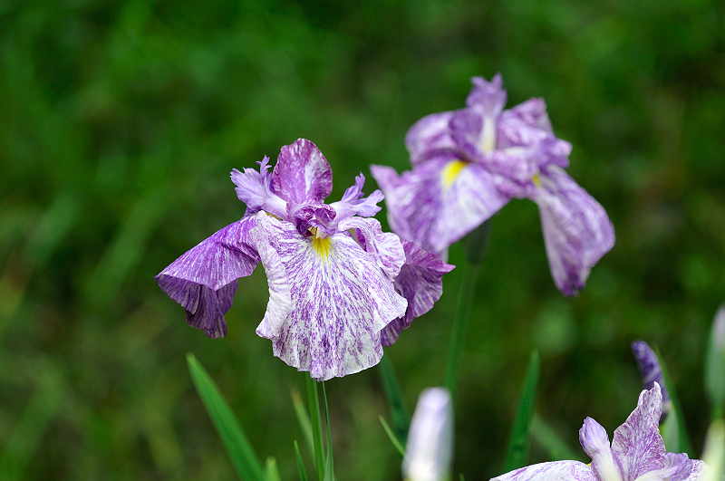 image0109