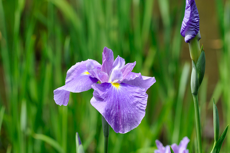 image0120