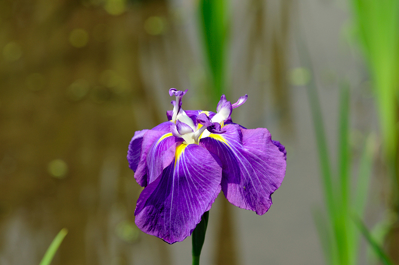 image0122